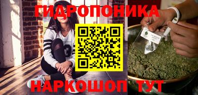 трава Кимры